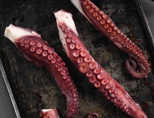 COOKED OCTOPUS TENTACLES